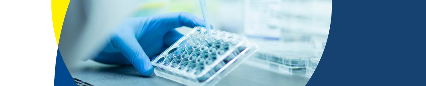 Investigación Clínica